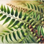 Neem (Azadirachta indica)